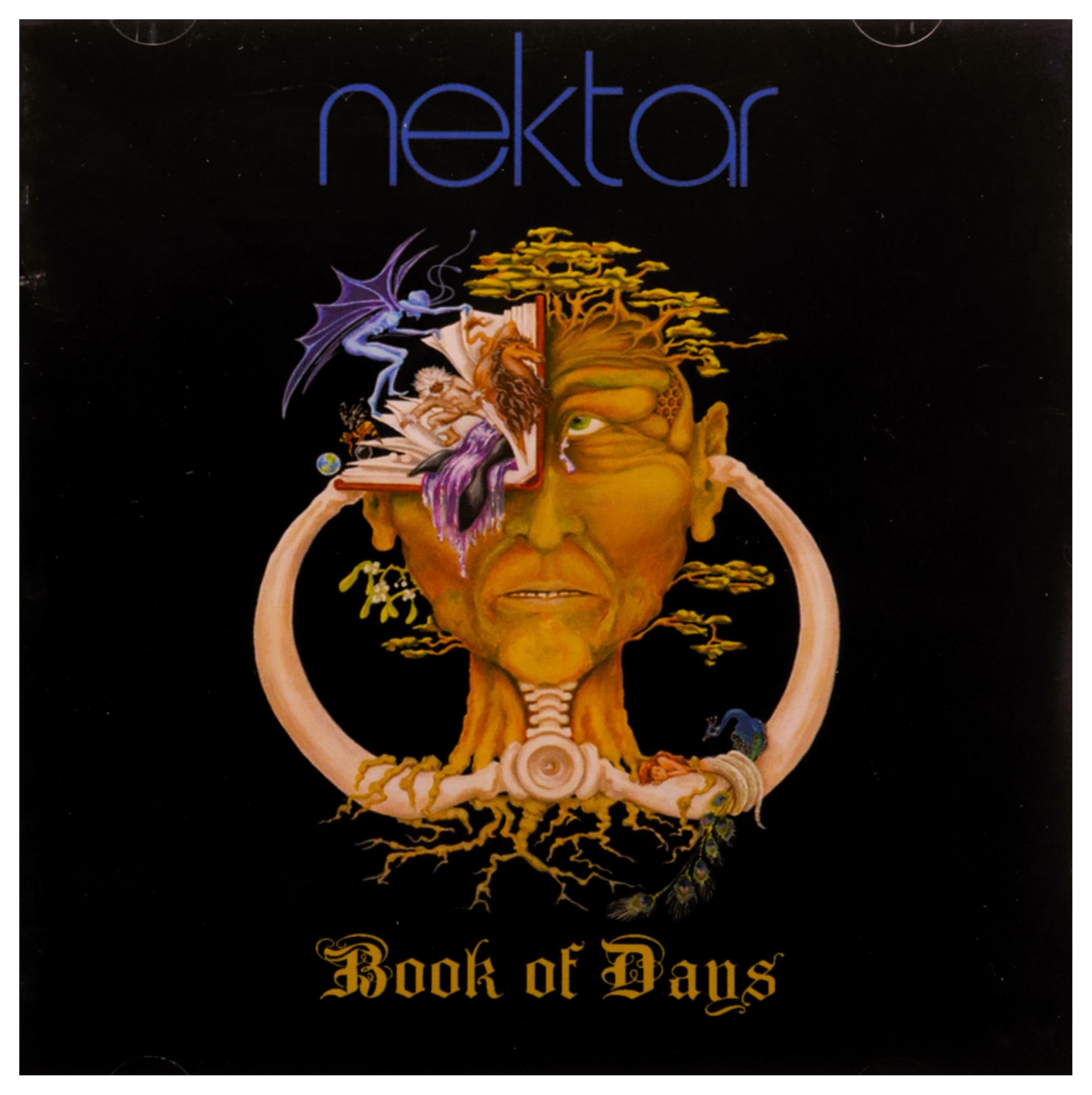 Product Image: Book Of Days