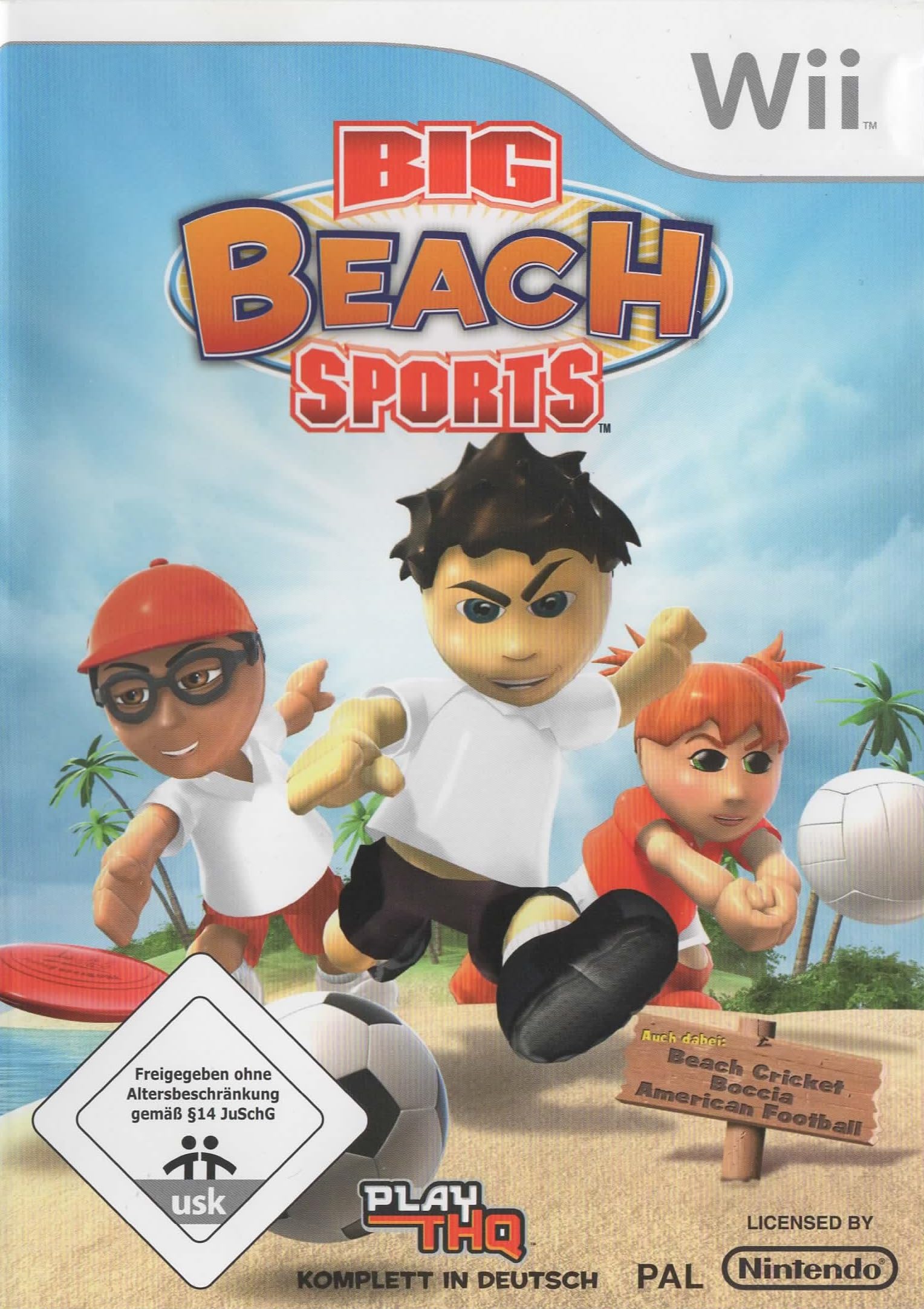 Big Beach Sports Wii