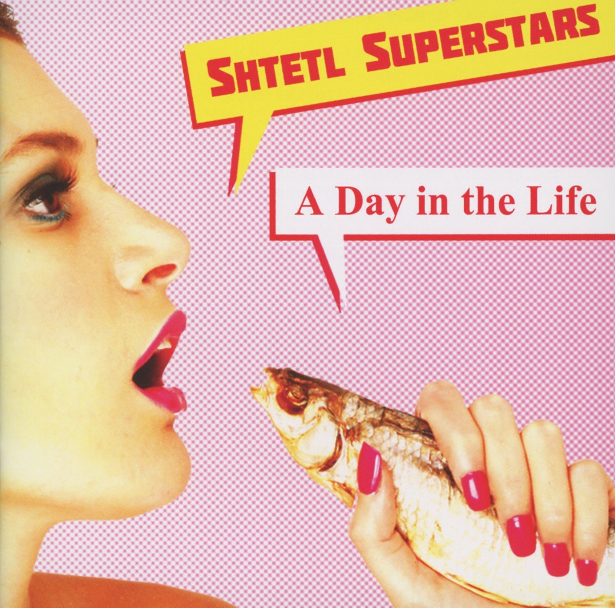 A Day In The Life cd