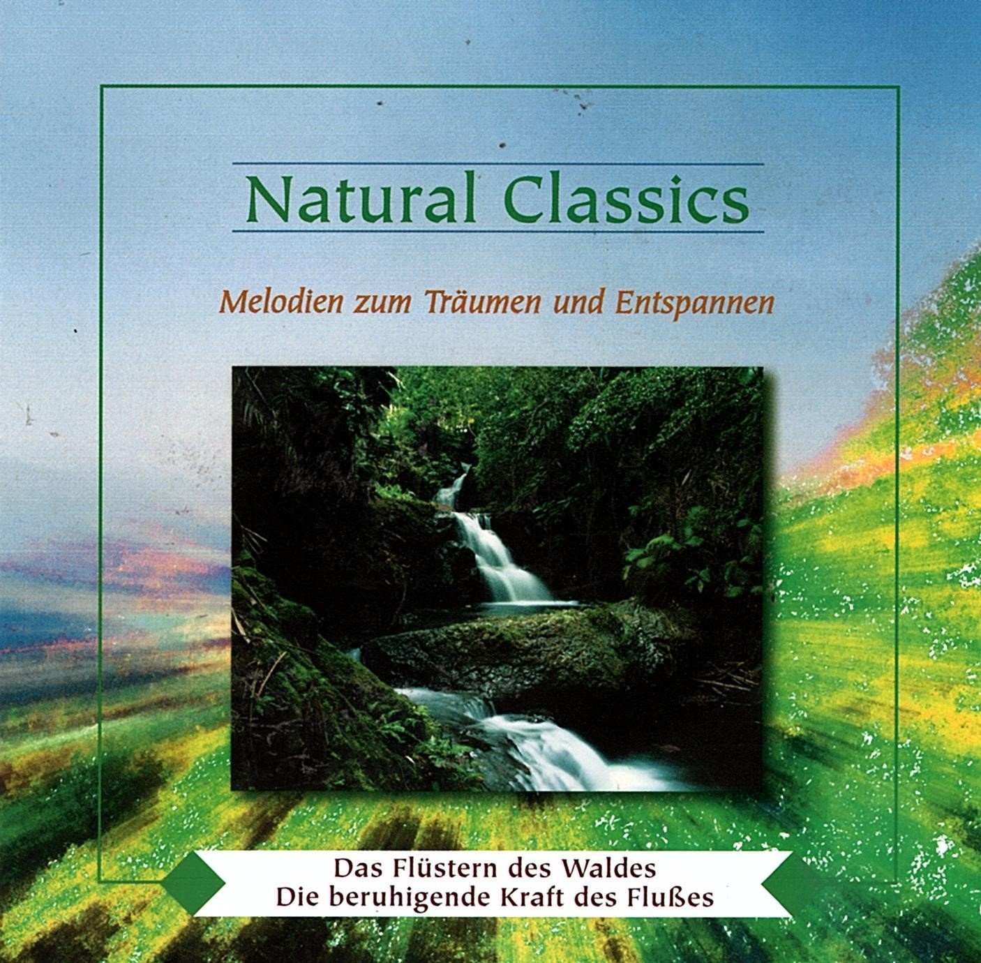 Das Flüstern des Waldes & Die beruhigende Kraft des Flusses Music