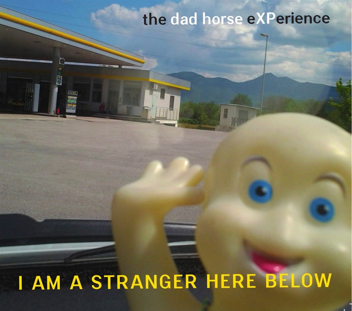 Product Image: I am a Stranger Here Below