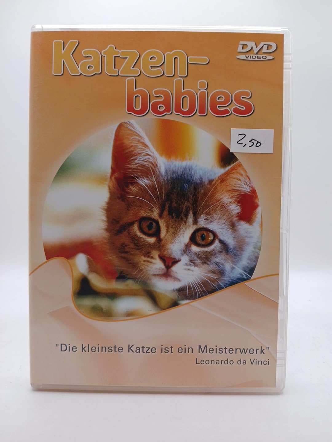 Product Image: Katzenbabies