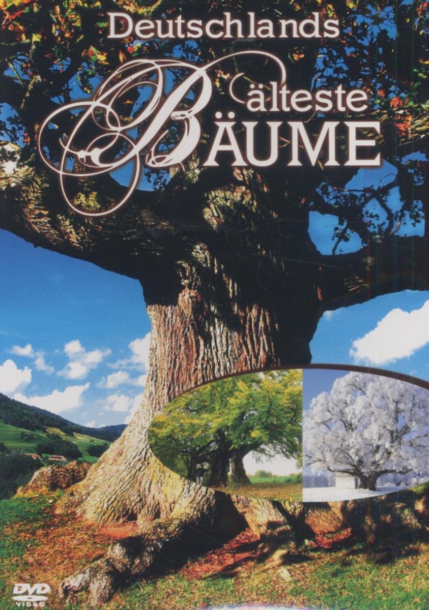 Deutschlands älteste Bäume Movies