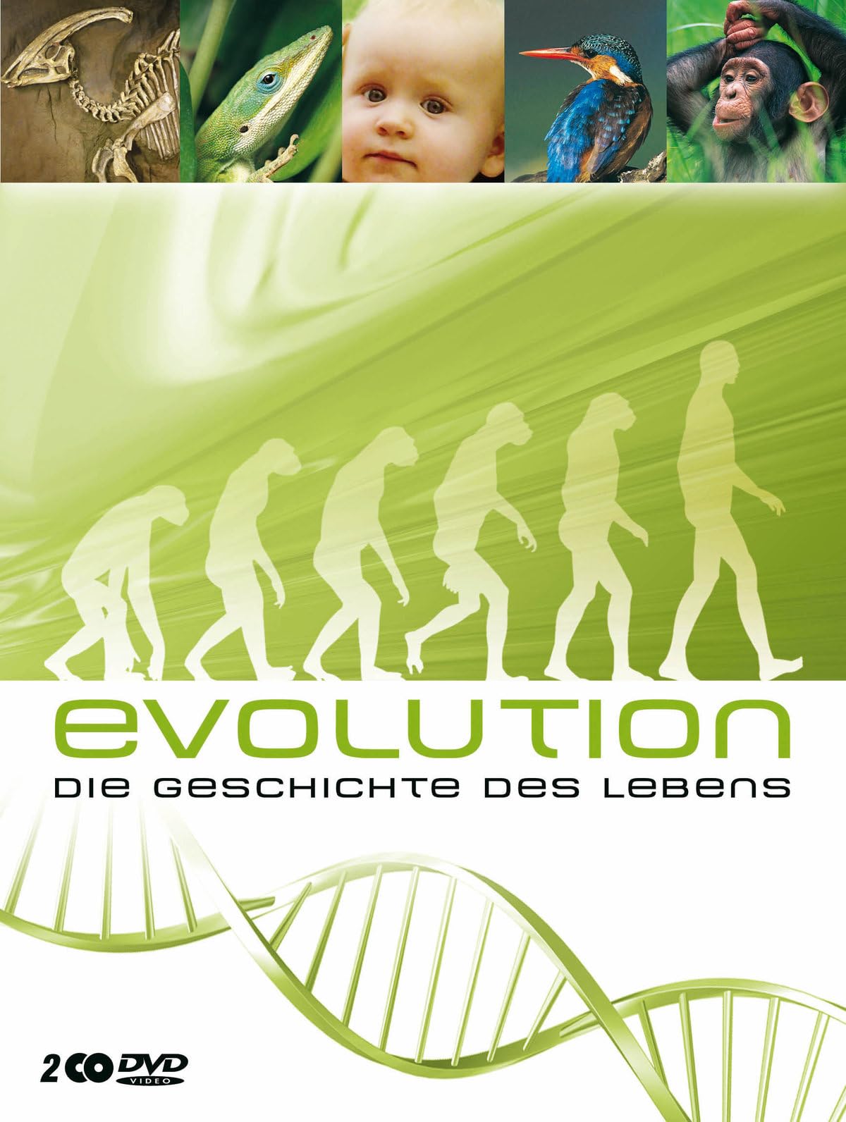 Evolution - Die Geschichte des Lebens Movies