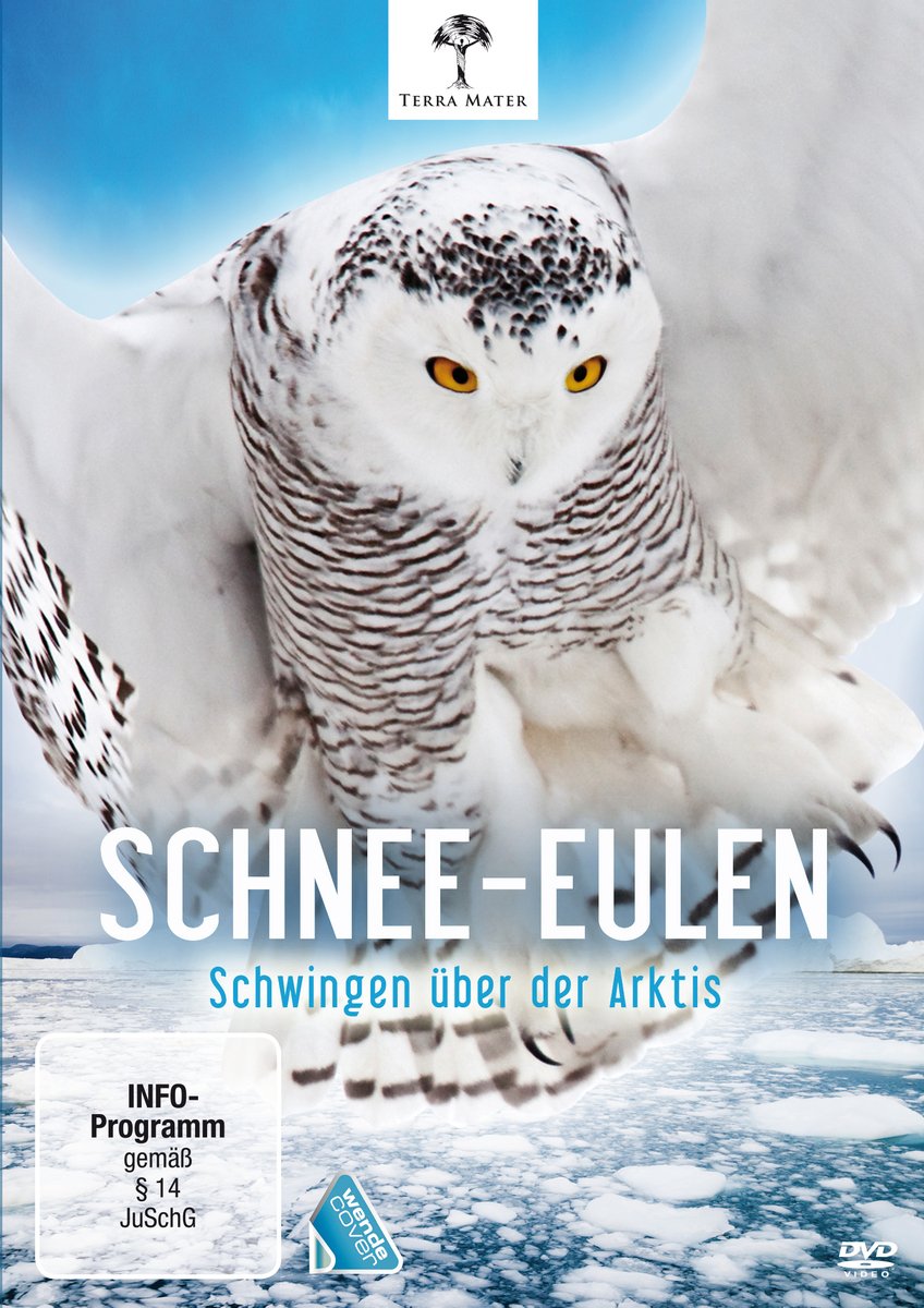 Product Image: Schnee-Eulen - Schwingen über der Arktis