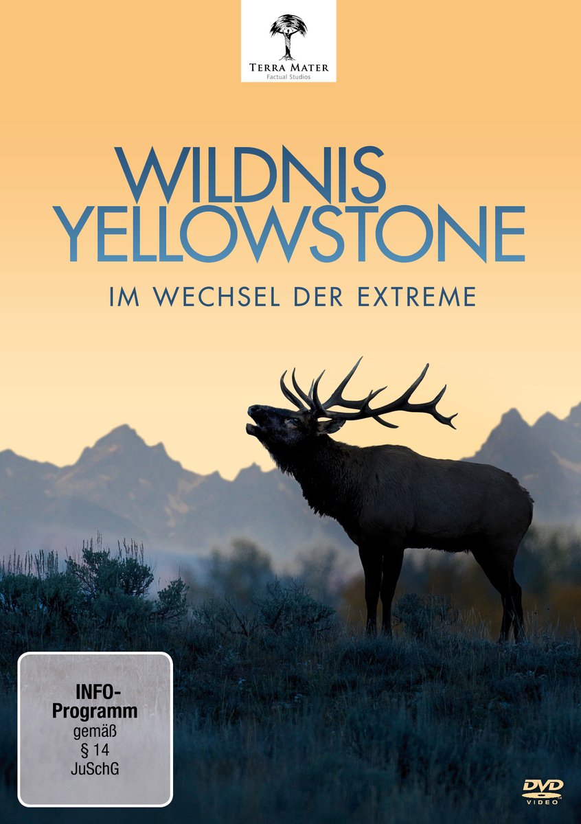 Wildnis Yellowstone - Im Wechsel der Extreme Films