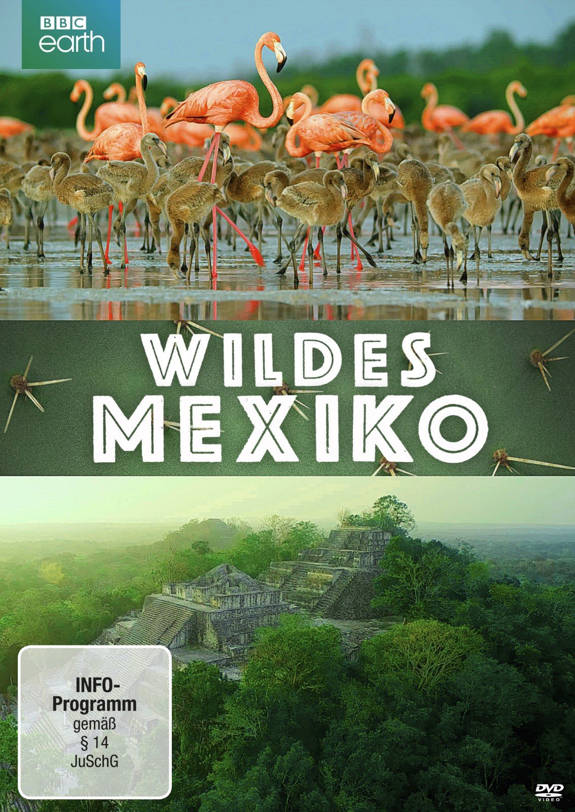 Wildes Mexiko (BBC Earth) Films