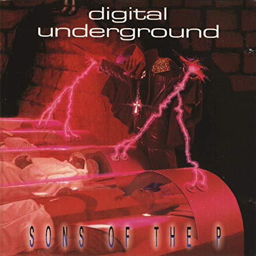 Product Image: Sons of the P