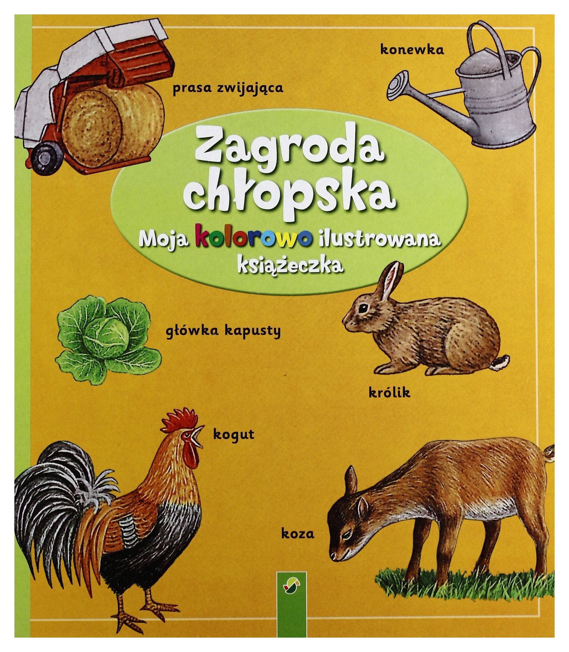 Moja Kolorowo Ilustrowana Książeczka. Zagroda Chłopska - Praca Zbiorowa Books