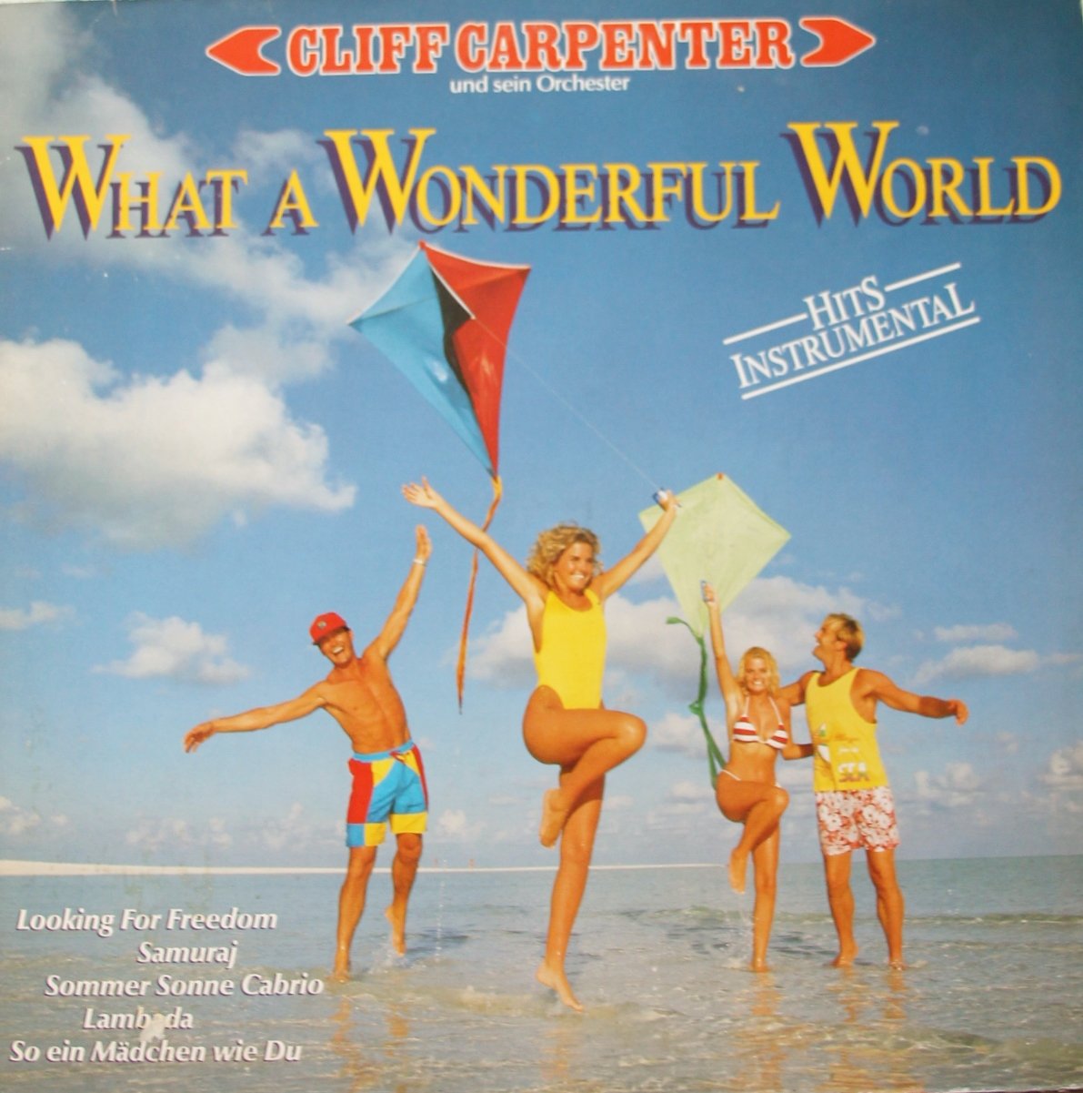 What a wonderful world (1990, incl. Bohlen-track) / Vinyl record Music