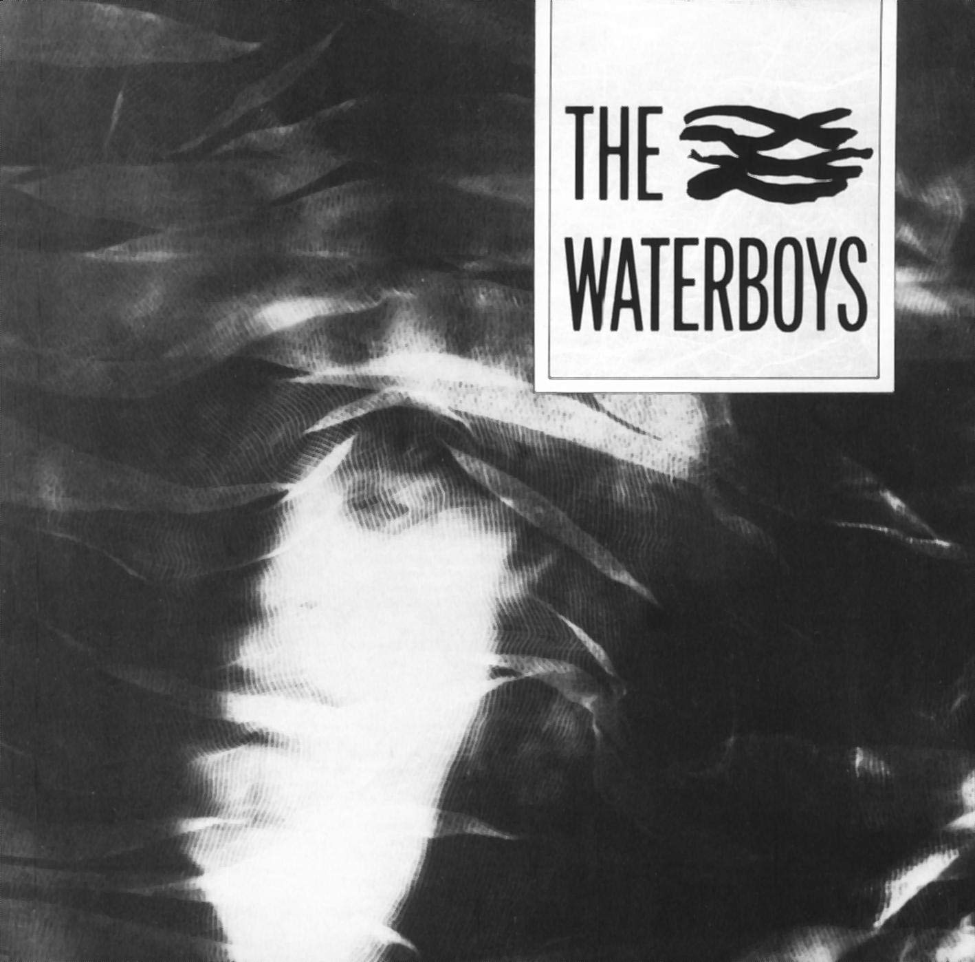The Waterboys Music