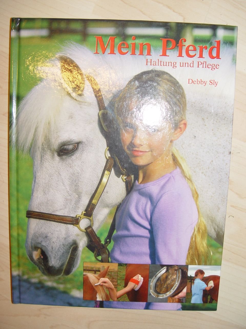 Mein Pferd - Haltung und Pflege Books