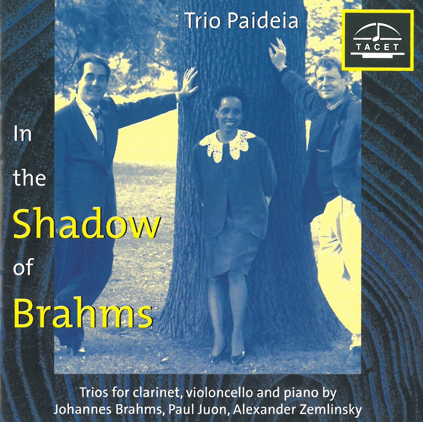 Im Schatten von Brahms Classical