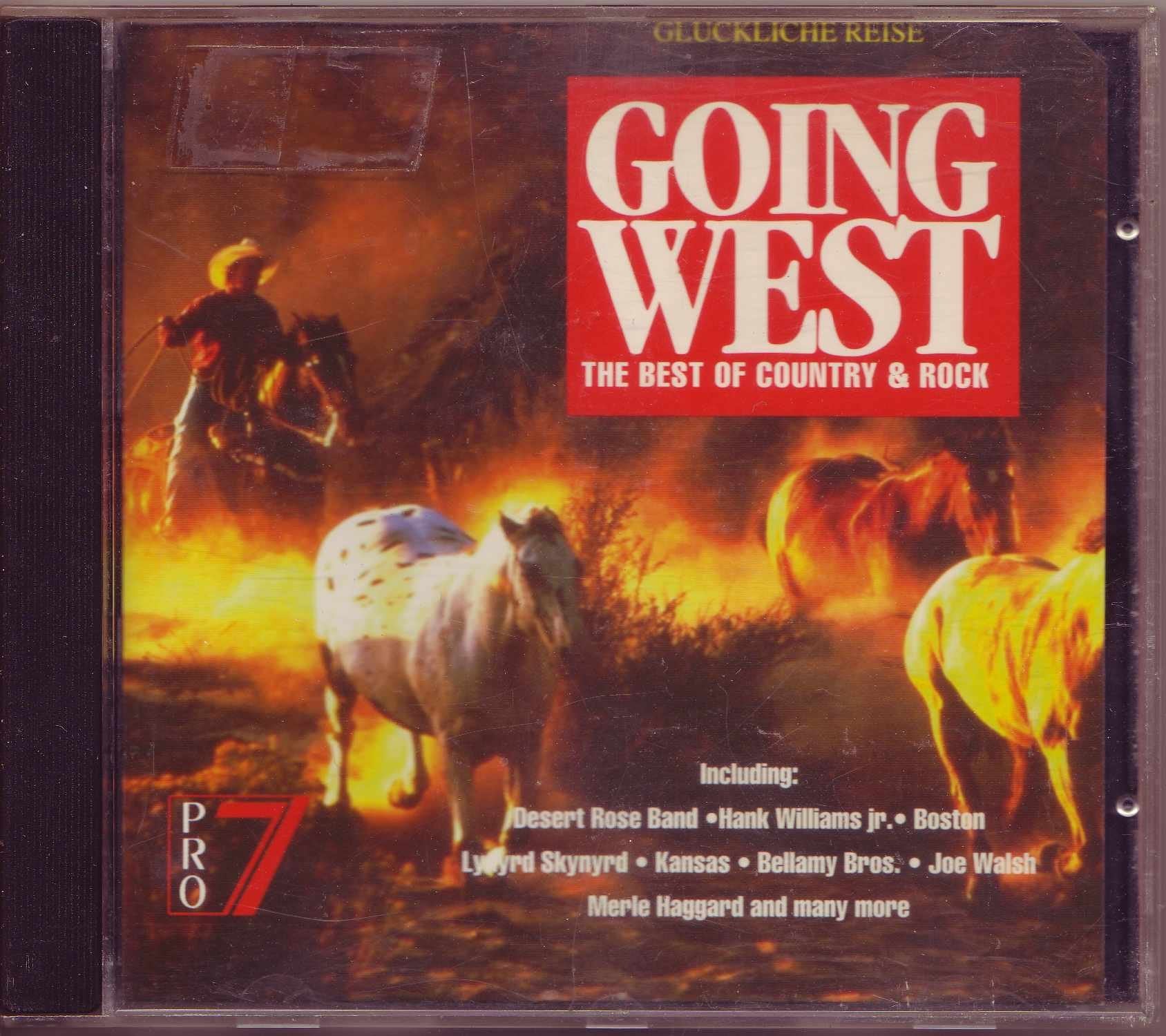 Desert Rose Band, Hank Williams jr., Boson, Lynyrd Skynyrd.. Music