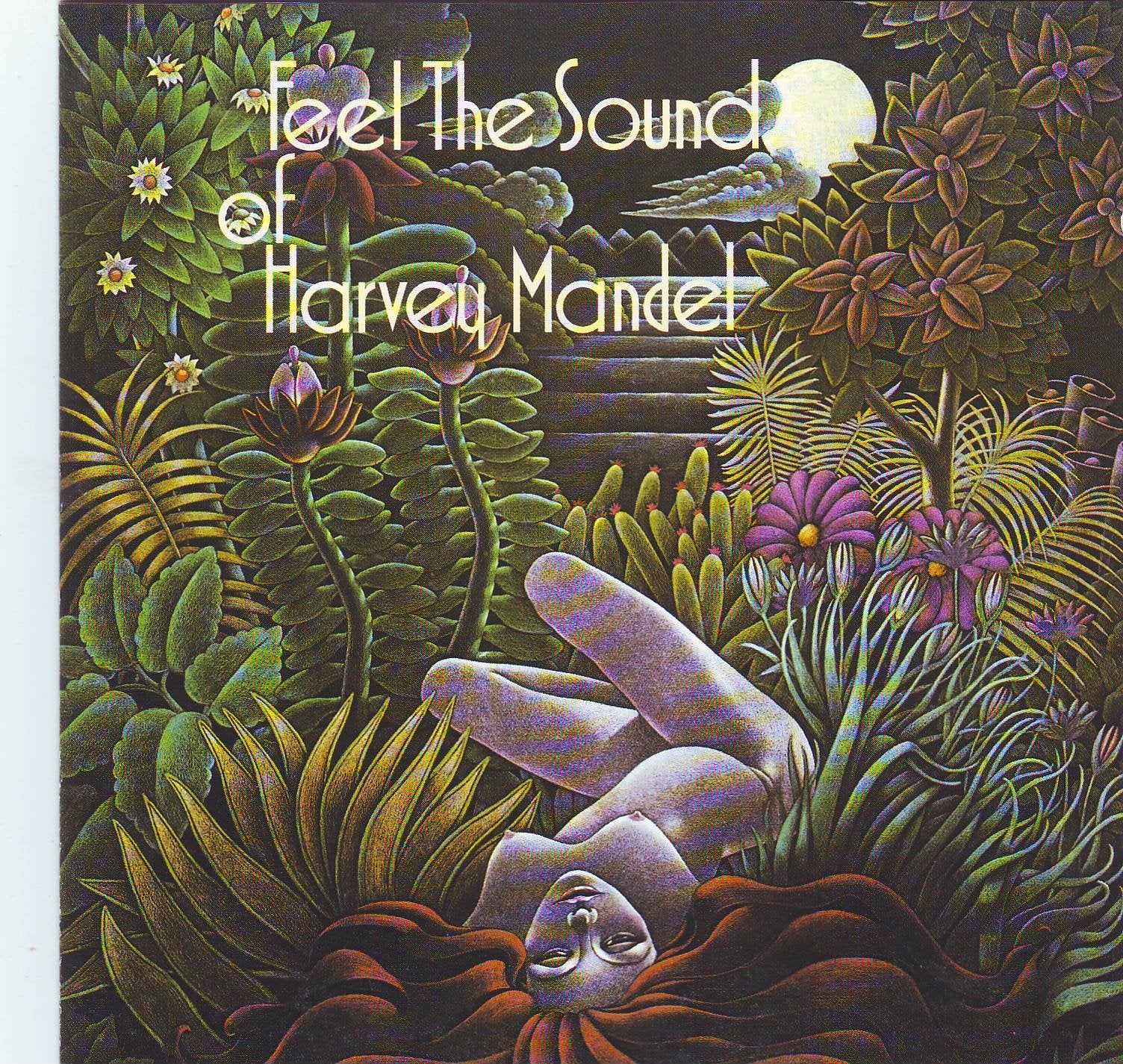Feel the Sound of Harvey Mandel Blues