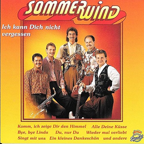 Product Image: Ich kann dich nicht vergessen
