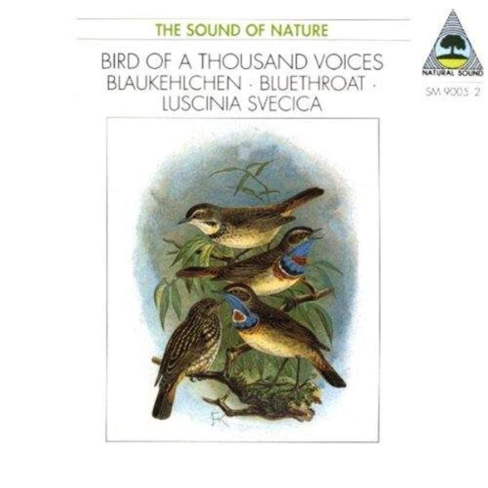 Blaukehlchen Music