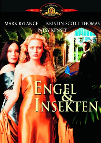 Product Image: Engel und Insekten
