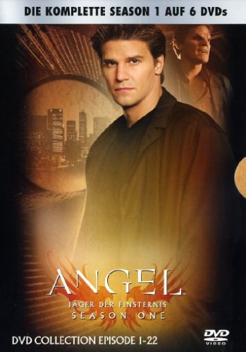 Angel - Jäger der Finsternis: Die komplette Season 1 Box sets