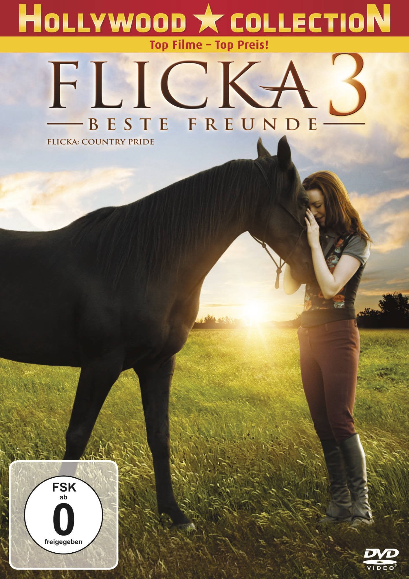 Flicka 3 - Beste Freunde Movies