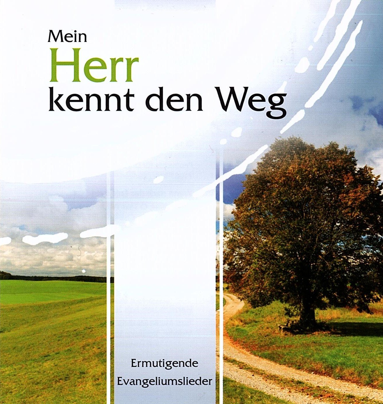 Mein Herr kennt den Weg (CD) Ermutigende Evangeliumslieder Books