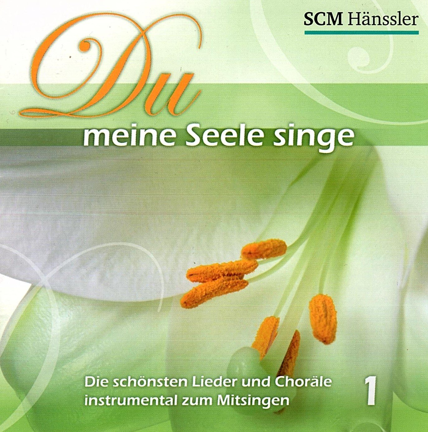 Du meine Seele singe Die schönsten lieder und Choräle instrumental zum Mitsingen 1 Books