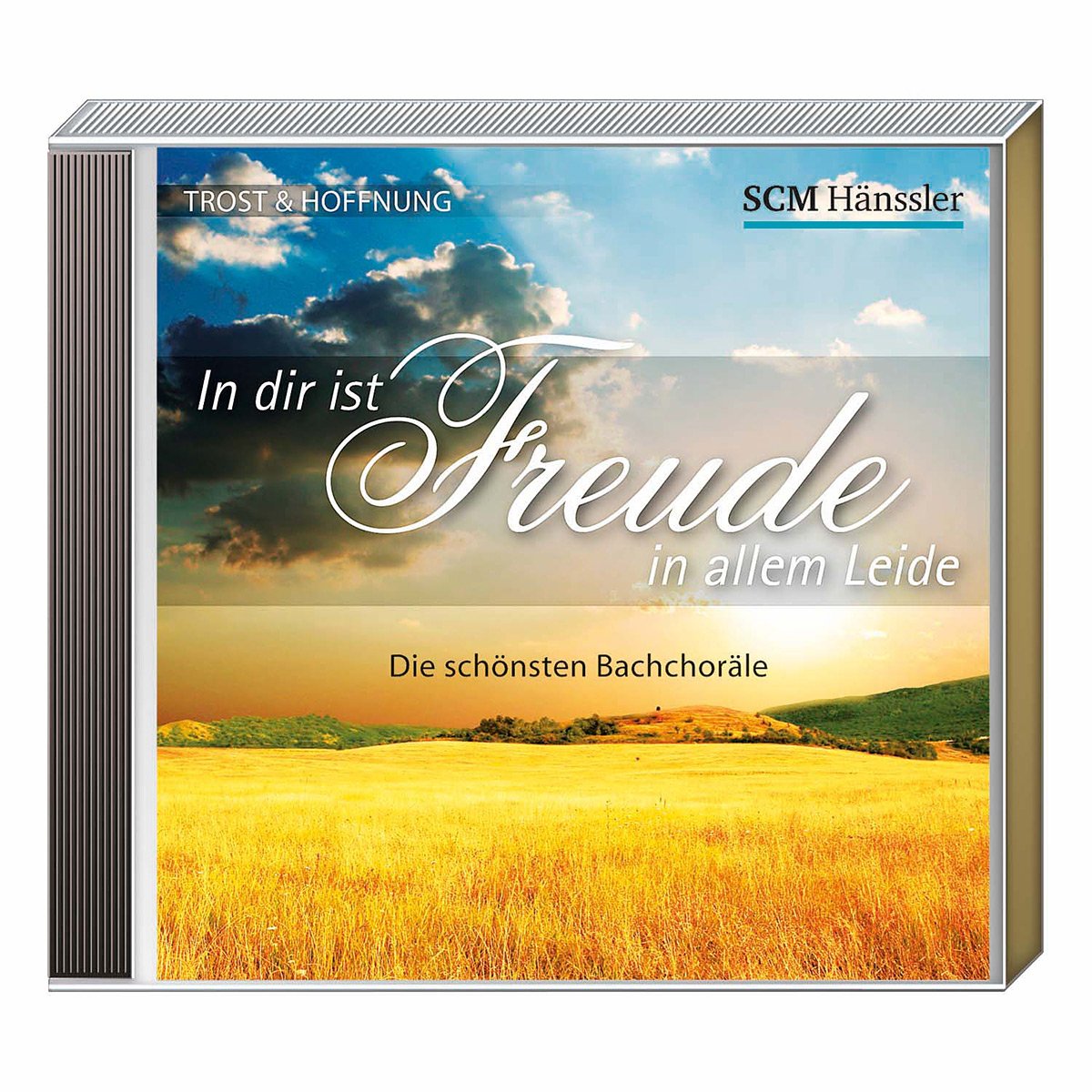 Product Image: In dir ist Freude in allem Leide