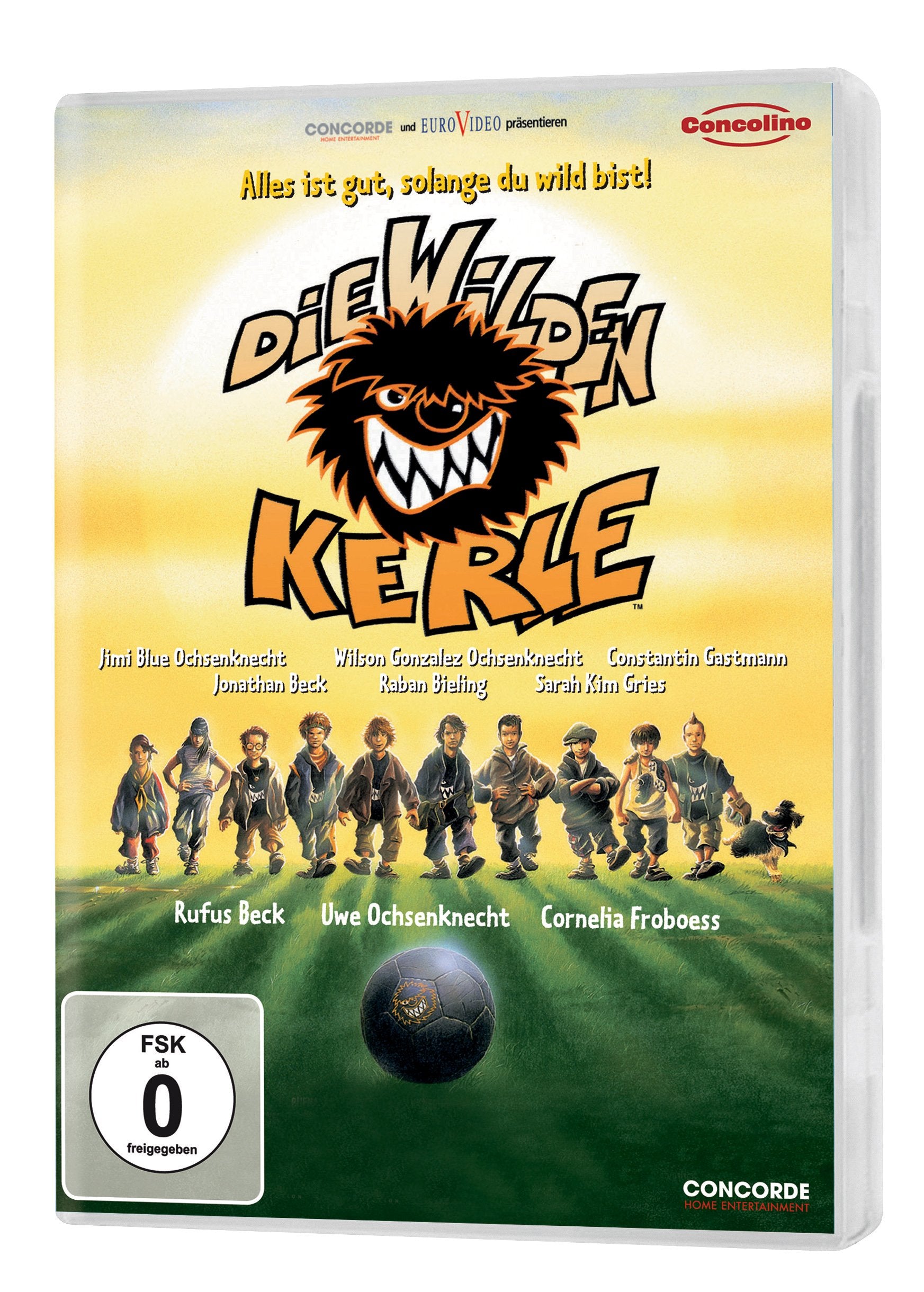 Die Wilden Kerle Films