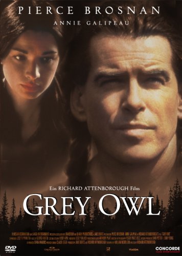 Product Image: Grey Owl