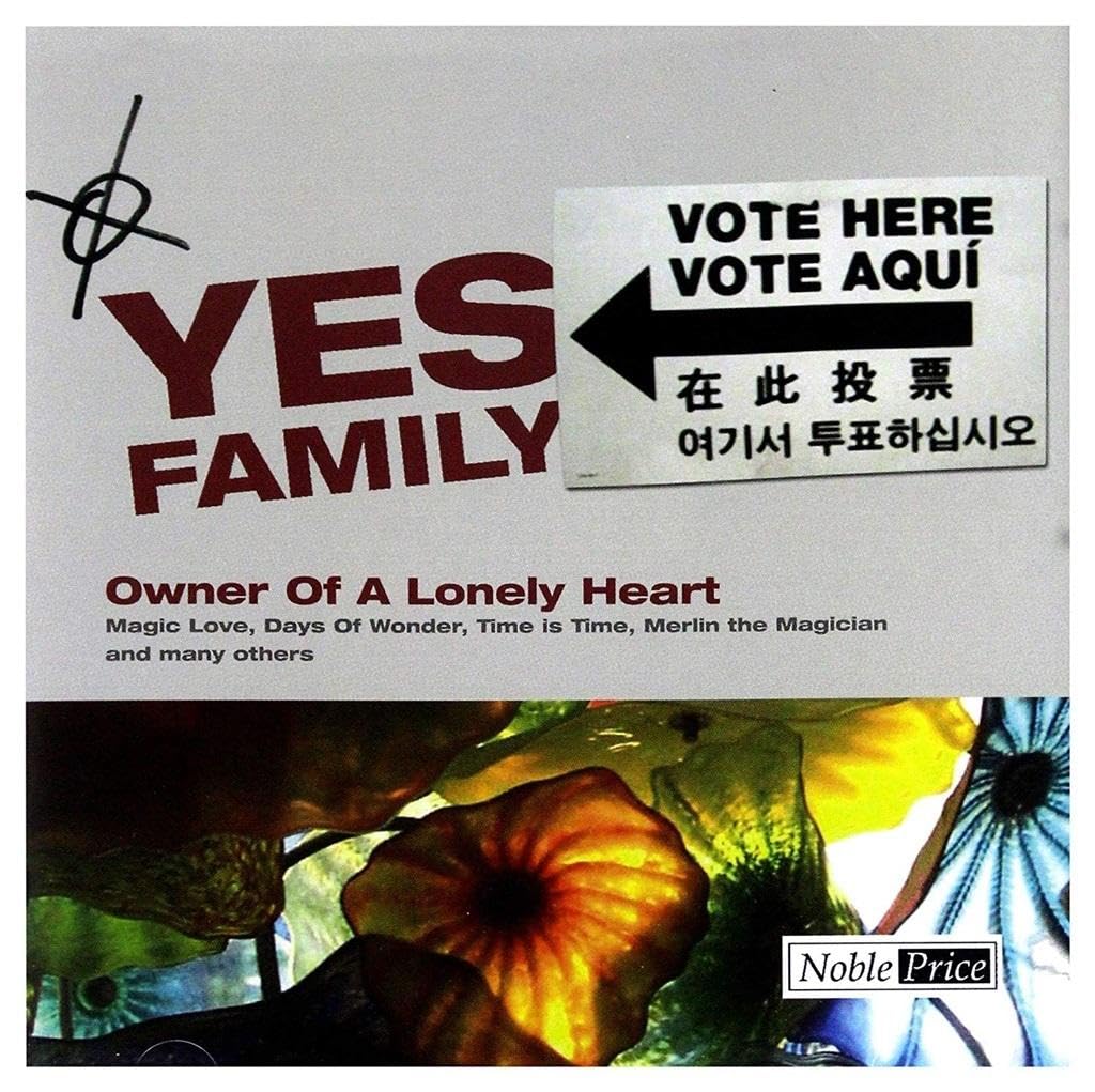 Owner of a Lonely Heart cd