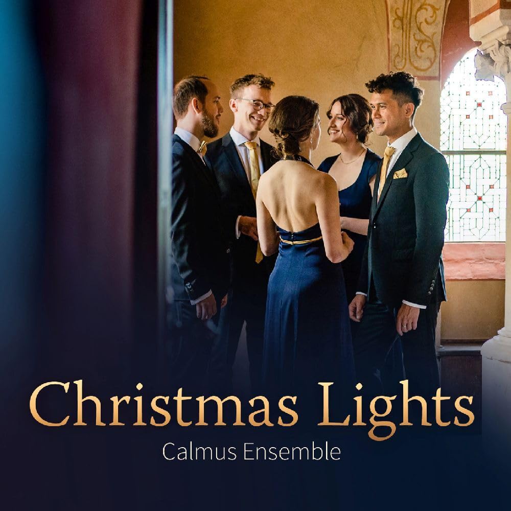 Product Image: Christmas Lights