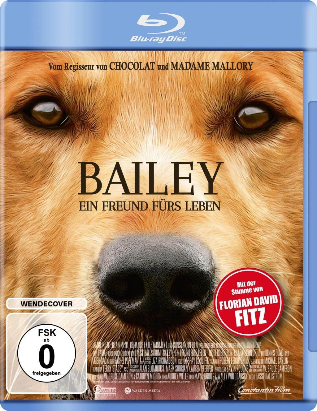 Product Image: Bailey - Ein Freund fürs Leben