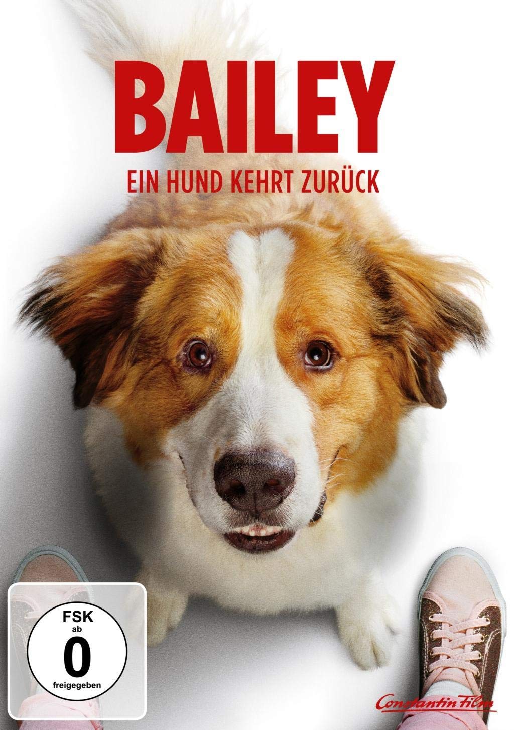 Bailey - Ein Hund kehrt zurück Music