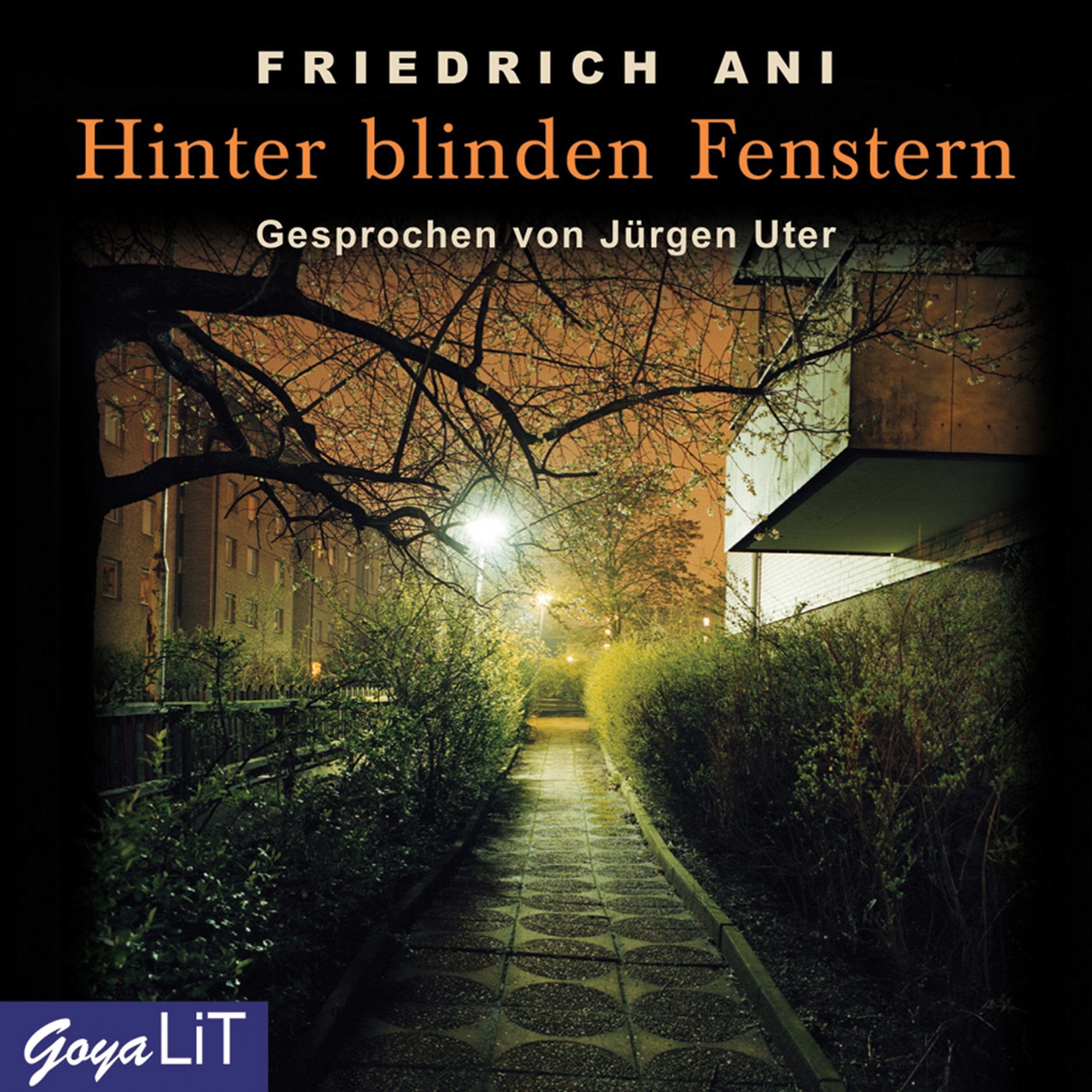 Hinter blinden Fenstern Contemporary literature Books