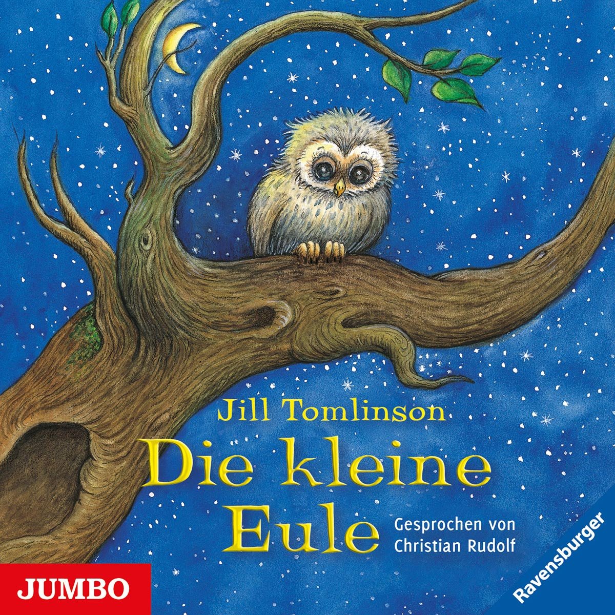 Die Kleine Eule Children & Young People Audio Books