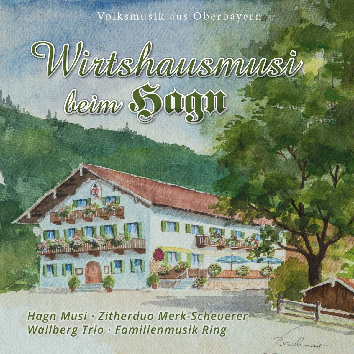 Wirtshausmusi Beim Hagn German Schlager & Volksmusik