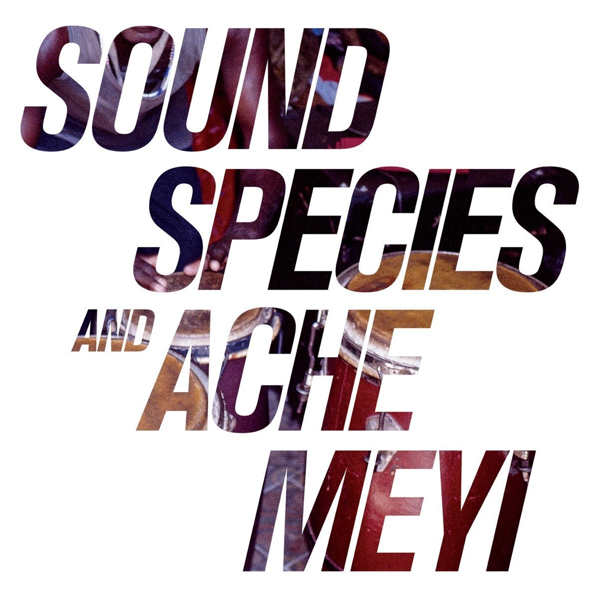 Product Image: Soundspecies & Ache Meyi