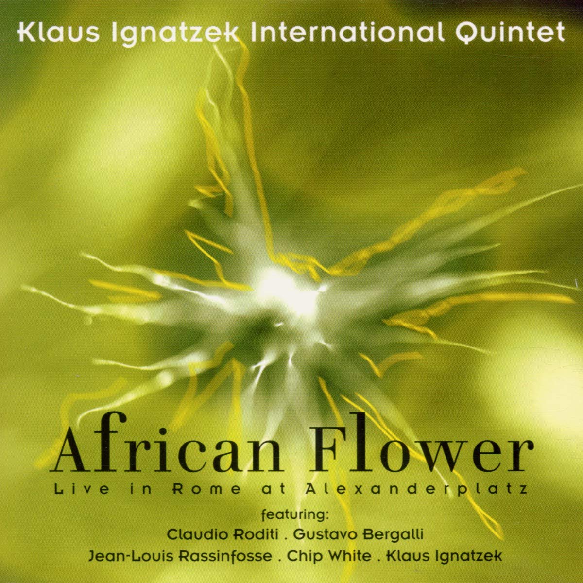 Product Image: African Flower