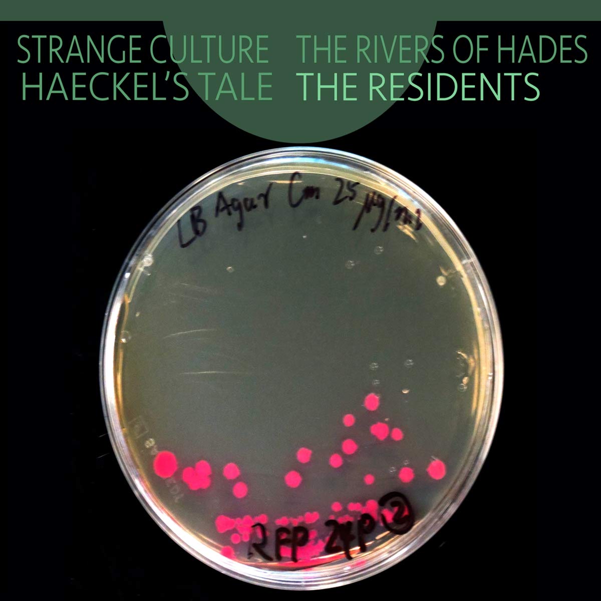 Strange Culture/Rivers of Hades/Haeckel's tale Rock