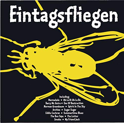 Eintagsfliegen Pop
