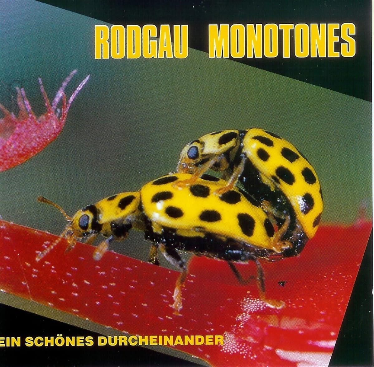 Product Image: Ein Schönes Durcheinander