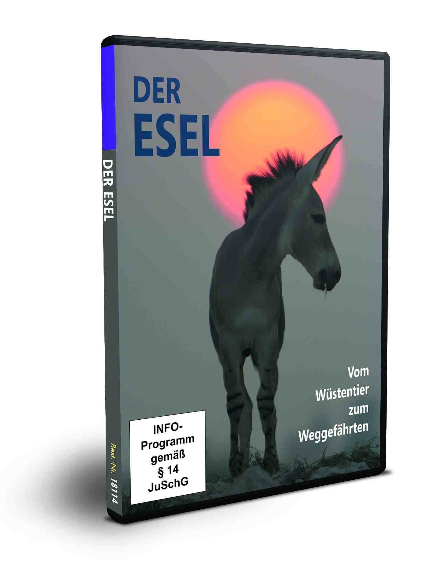 Der Esel - Vom Wüstentier zum Weggefährten Films