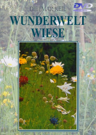 Product Image: Wunderwelt Wiese