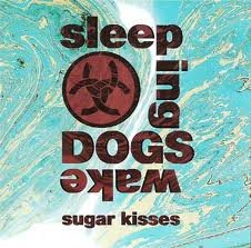 Product Image: Sleeping Dogs Wake