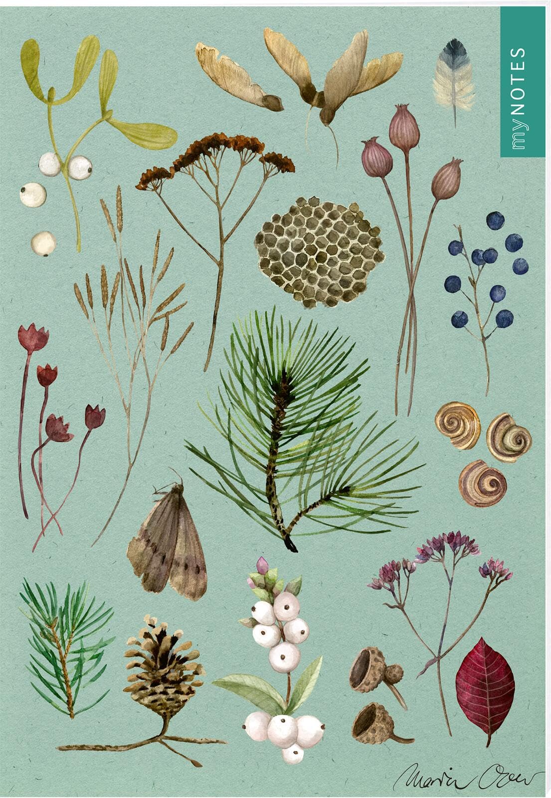 myNOTES Papeterie: Notizheft Naturschätze: Winterwald | Heft liniert A5, winterliche Naturoptik, für Notizen und gute Ideen unterwegs General education