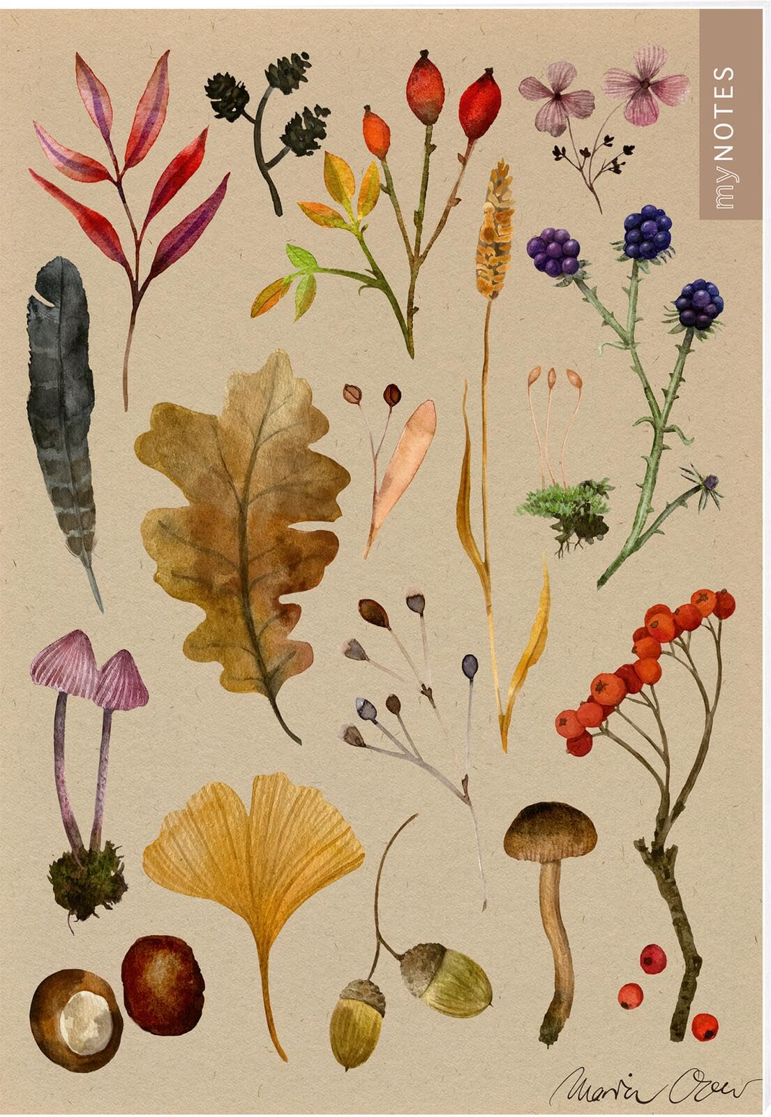 myNOTES Papeterie: Notizheft Naturschätze: Bunte Herbstblätter | Heft liniert A5, herbstliche Naturoptik, für Notizen und gute Ideen unterwegs General education