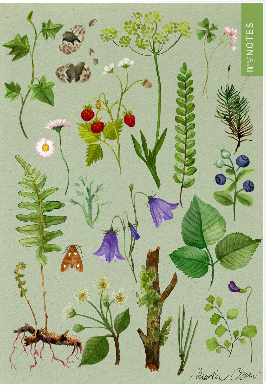 myNOTES Papeterie: Notizheft Naturschätze: Wald & Wiesenblumen | Heft liniert A5, blumiges Design, für Notizen und gute Ideen unterwegs General education
