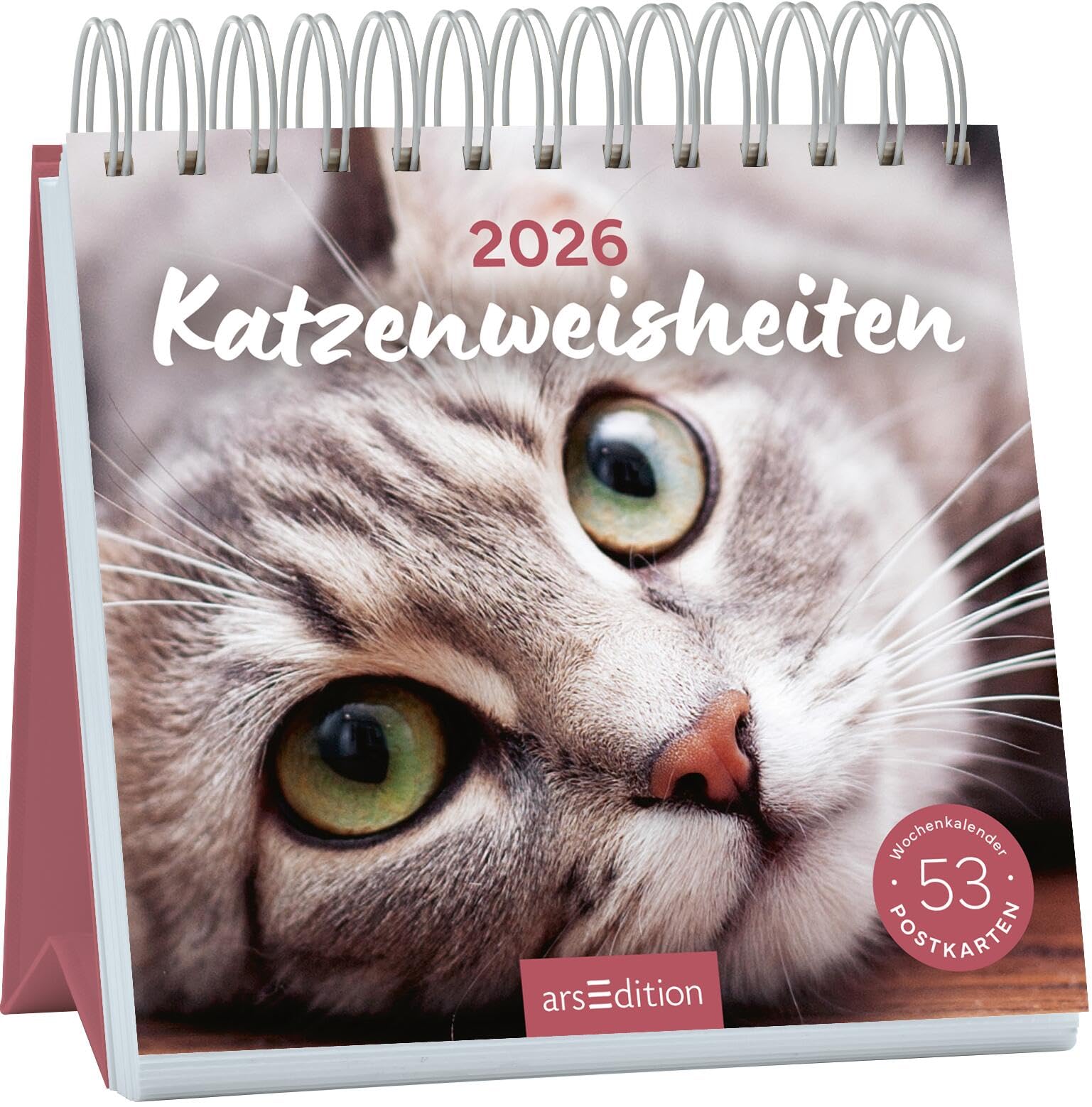 Postkartenkalender Katzenweisheiten 2026: Wochenkalender 2026, 53 Postkarten für Katzenfans Social Sciences