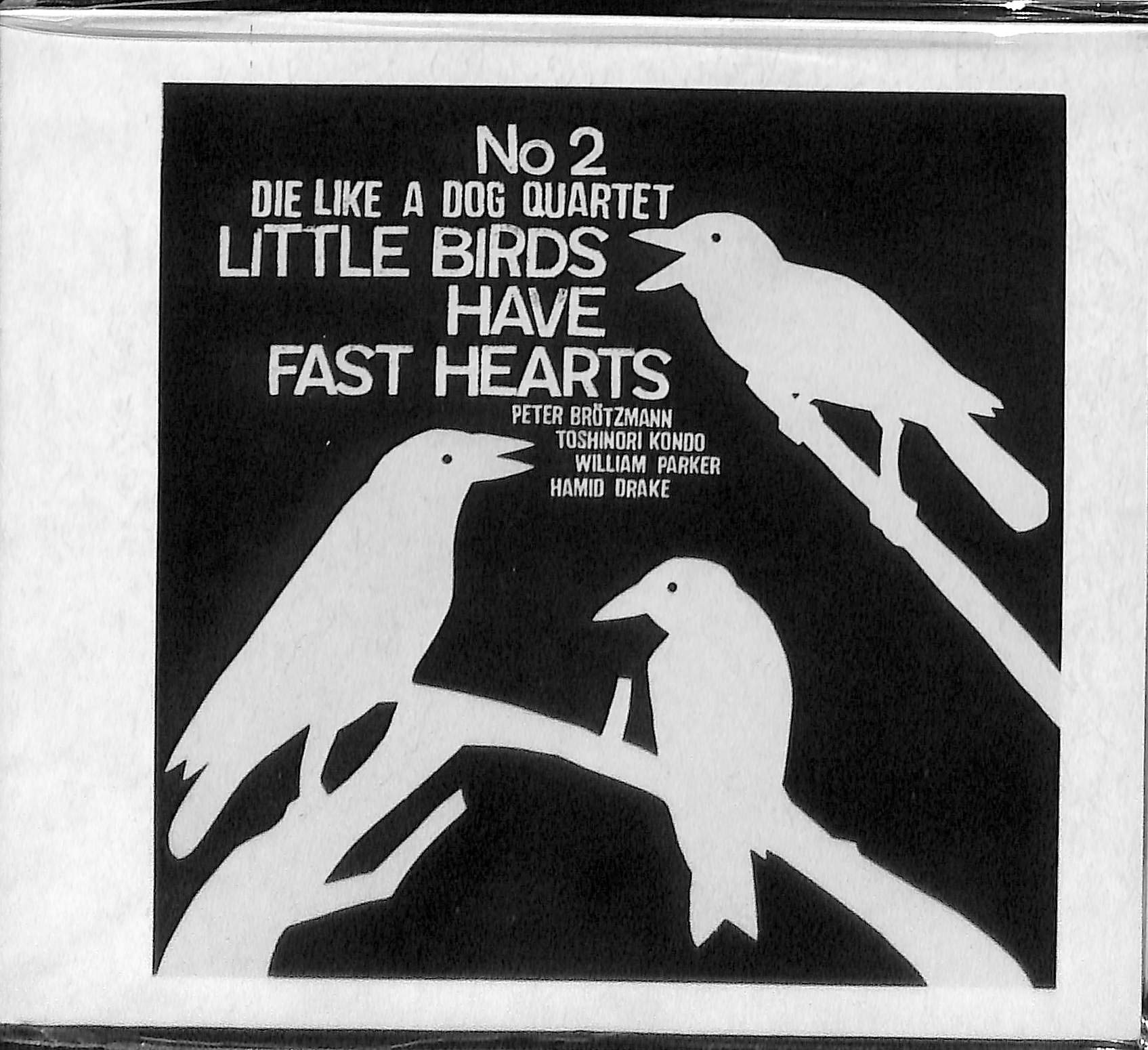 Little Birds Have Fast Hearts 2 Music