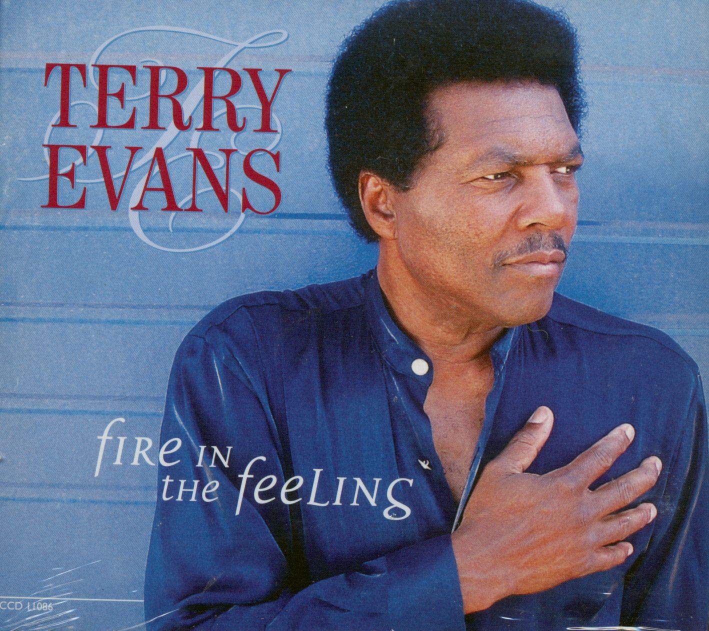 Fire in the Feeling Blues